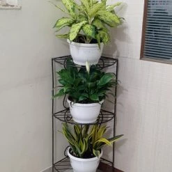 CGASPL 3 Shelf Big Plant Stand Pot-Planters