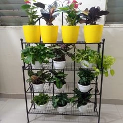 CGASPL Bakers Rack (Compartment)