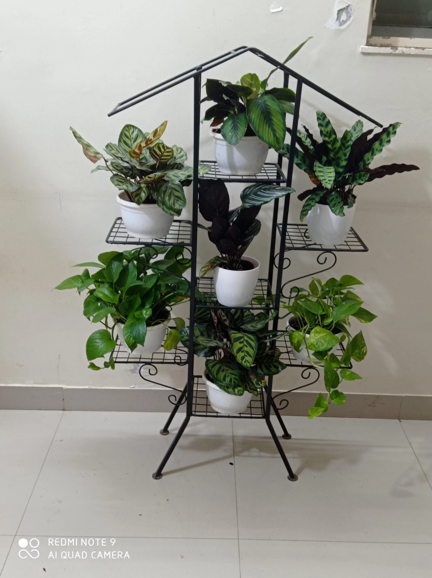 CGASPL Pot-Planters 7 Pot Tiles Plant Pot Stand 3 CGASPL Pot-Planters 7 Pot Tiles Plant Pot Stand