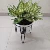 CGASPL Pot-Planters Single Pot Stand 12''