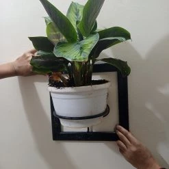 CGASPL Pot-Planters Single Pot Wall Stand (Set Of 4)