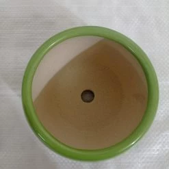 CGASPL Pot-Planters Handi Shaped Round Ceramic Pot Parrot Green