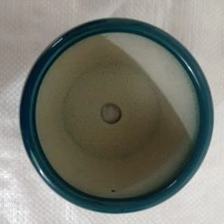 CGASPL Handi Shaped Round Ceramic Pot Peacock Color Pot-Planters