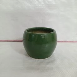 CGASPL Handi Shaped Round Ceramic Pot Turtle Green Color