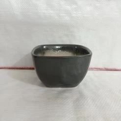 CGASPL Square Ceramic Pot Grey (Pack Of 3)