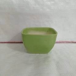 CGASPL Square Ceramic Pot Parrot Green (Pack Of 3)