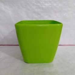 CGASPL Pot-Planters 17 Cm Green Paris Square Pot