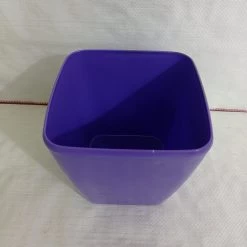 CGASPL 17 Cm Violet Paris Square Pot Pot-Planters