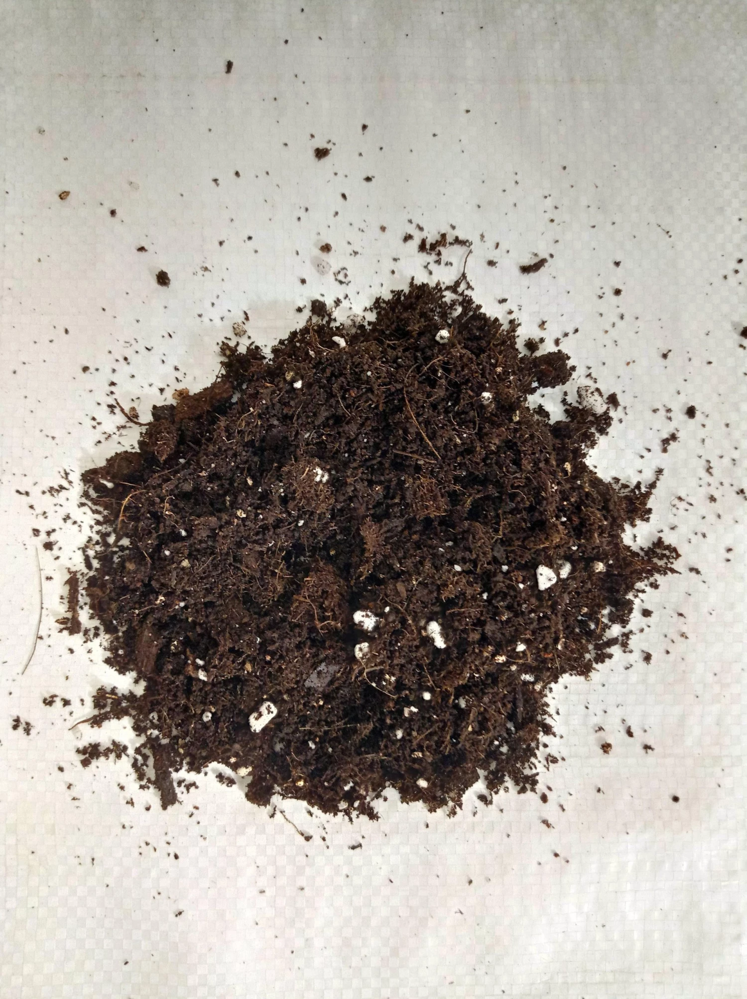 CGASPL General Potting Mix For Plants 2 Liters Plant Food 5 CGASPL General Potting Mix For Plants 2 Liters Plant Food