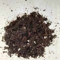 CGASPL General Potting Mix For Plants 2 Liters Plant Food