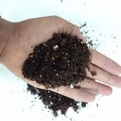 CGASPL Plant Food General Potting Mix For Plants Liters - All Purpose