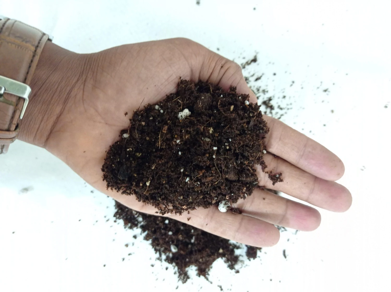 CGASPL General Potting Mix For Plants 2 Liters Plant Food 6 CGASPL General Potting Mix For Plants 2 Liters Plant Food