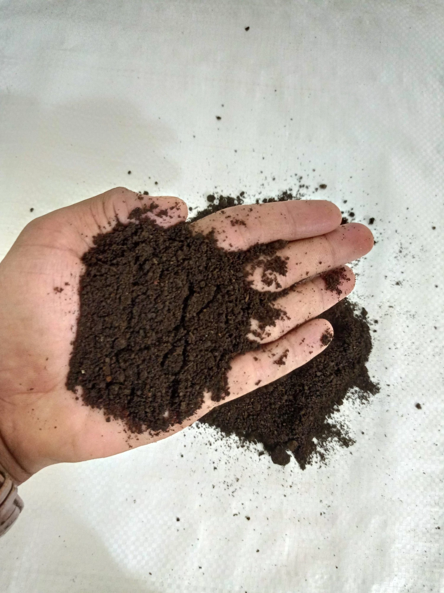 CGASPL Plant Food Vermicompost, 1 Ton (Delivery Only In Pune) 4 CGASPL Plant Food Vermicompost, 1 Ton (Delivery Only In Pune)