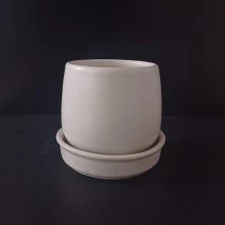 CGASPL Small Round White Ceramic Pot (Pack Of 3) Pot-Planters