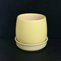 CGASPL Small Round Olive Green Ceramic Pot (Pack Of 3)