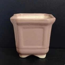 CGASPL Light Brown Square Ceramic Pot (Pack Of 3)