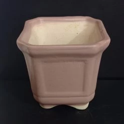 CGASPL Light Brown Square Ceramic Pot (Pack Of 3)