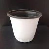CGASPL Thermoformed Pots (150 X 138 Mm) (Pack Of 6, White Color) 1 CGASPL Thermoformed Pots (150 X 138 Mm) (Pack Of 6, White Color)