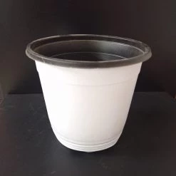 CGASPL Thermoformed Pots (150 X 138 Mm) (Pack Of 6, White Color)