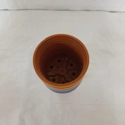 CGASPL Pot-Planters 4