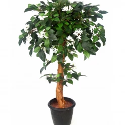 CGASPL Artificial Jasmine Plant Topiary Natural Coffeee Wood Plant - 3 Feet Artificial Plants