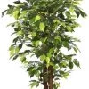 CGASPL Artificial Plants Artificial Ficus Plant - 5 Feet