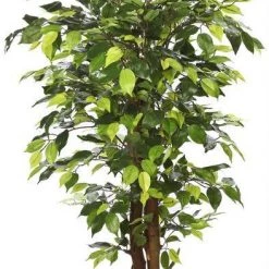 CGASPL Artificial Plants Artificial Ficus Plant - 5 Feet