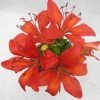 CGASPL Winter Flower Bulbs Lilium Asiatic Burning Joy Orange Flower Bulbs (Pack Of 10)
