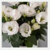 Chhajed Garden Imported Flower Seeds Lisianthus Rose Picotee Flower Seeds