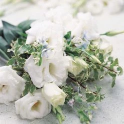 CGASPL Lisianthus (Eustoma) Echo Pure White Flower Seeds