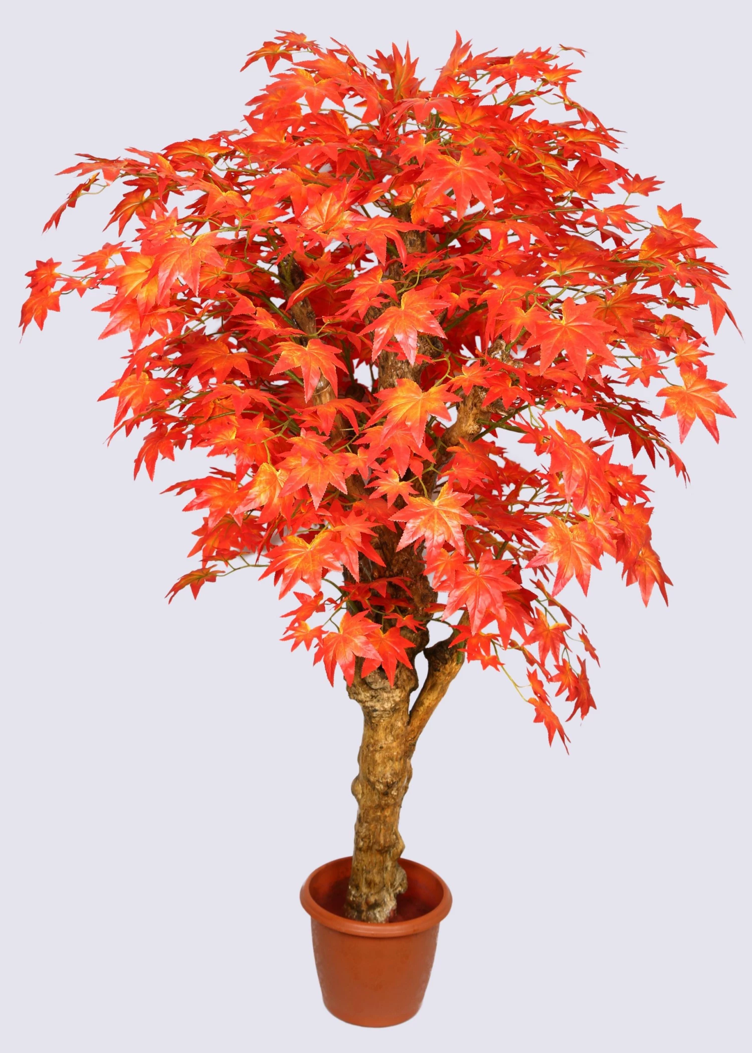 CGASPL Artificial Plants Artificial Maple Red Tree In Coffee Wood With Branches - 4 Feet 3 CGASPL Artificial Plants Artificial Maple Red Tree In Coffee Wood With Branches - 4 Feet