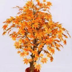 CGASPL Artificial Maple Orange Tree In Coffee Wood With Branches - 4 Feet Artificial Plants