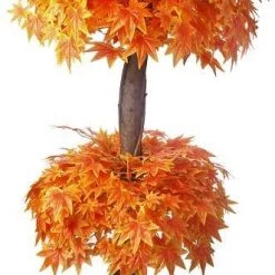 CGASPL Artificial Maple Plant Orange Double Topiary N. Coffee Wood - 5 Feet Artificial Plants