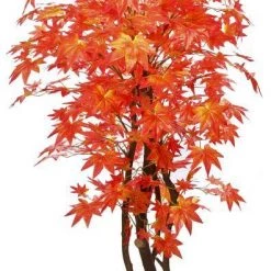 CGASPL Artificial Maple Plant Red With Natural Stick - 6 Feet