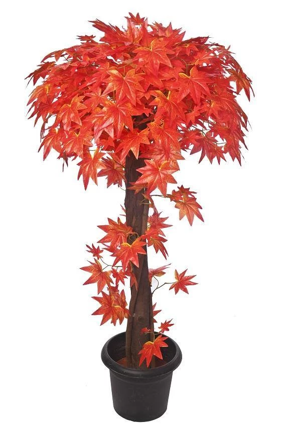 CGASPL Artificial Plants Artificial Maple Plant Red Topiary Natural Coffee Wood - 4 Feet 3 CGASPL Artificial Plants Artificial Maple Plant Red Topiary Natural Coffee Wood - 4 Feet