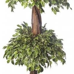 CGASPL Artificial Mini Ficus Double Topiary Plant - 5 Feet Artificial Plants