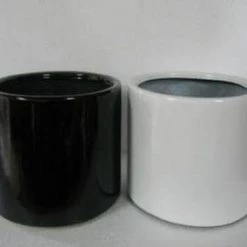 CGASPL Mogra Round Fiber Pot Pot-Planters