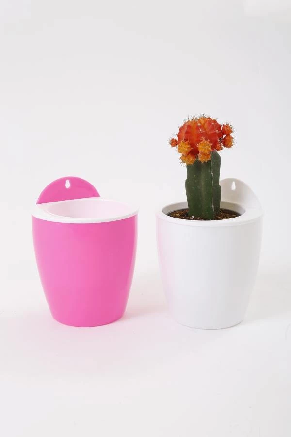 CGASPL Pink-White Self Watering Hanging Planter Flower Pot Pot-Planters 3 CGASPL Pink-White Self Watering Hanging Planter Flower Pot Pot-Planters