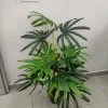 CGASPL Artificial Plants Artificial Raphis Graci Palm 24 Leaves - 4 Feet Approx