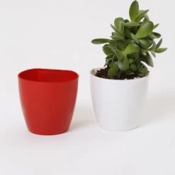 CGASPL Pot-Planters 2.5