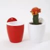 CGASPL Pot-Planters Red-White Self Watering Hanging Planter Flower Pot