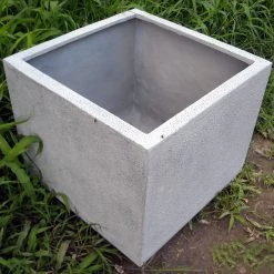 CGASPL Sea Breeze Cubic Standard Fiber Planter