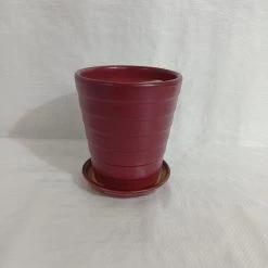 CGASPL Small Grape Wine Color Round Ceramic Pot