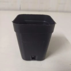 CGASPL 2.5" Square Pot Pot-Planters