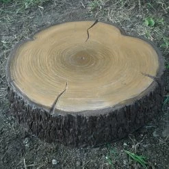 CGASPL Stepping Stone-Wood Slice