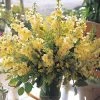 CGASPL Stock Tall Noble Yellow Flower Seeds