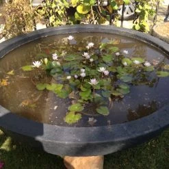 CGASPL Pot-Planters Stone Bowl Fiber Planter