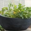 CGASPL Titanic Smooth Finish Fiber Planter Pot-Planters 1 CGASPL Titanic Smooth Finish Fiber Planter Pot-Planters