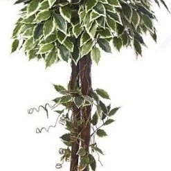 ChhajedGarden Shop 11 CGASPL Artificial Varigated Ficus Topiary In Coffe Wood - 4 Feet Artificial Plants