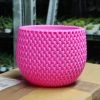 Cappl Plastic Pots 18 Cm New York Pink Colour Decorative Plastic Pot 2 Cappl Plastic Pots 18 Cm New York Pink Colour Decorative Plastic Pot
